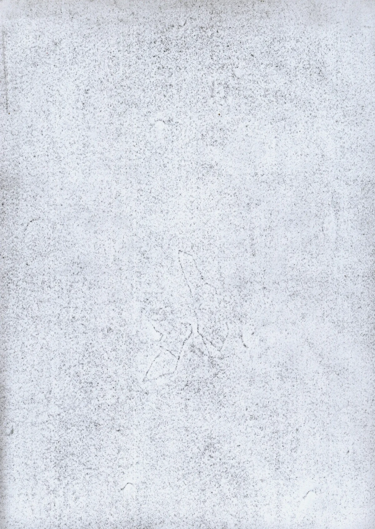 A4 drawing 31