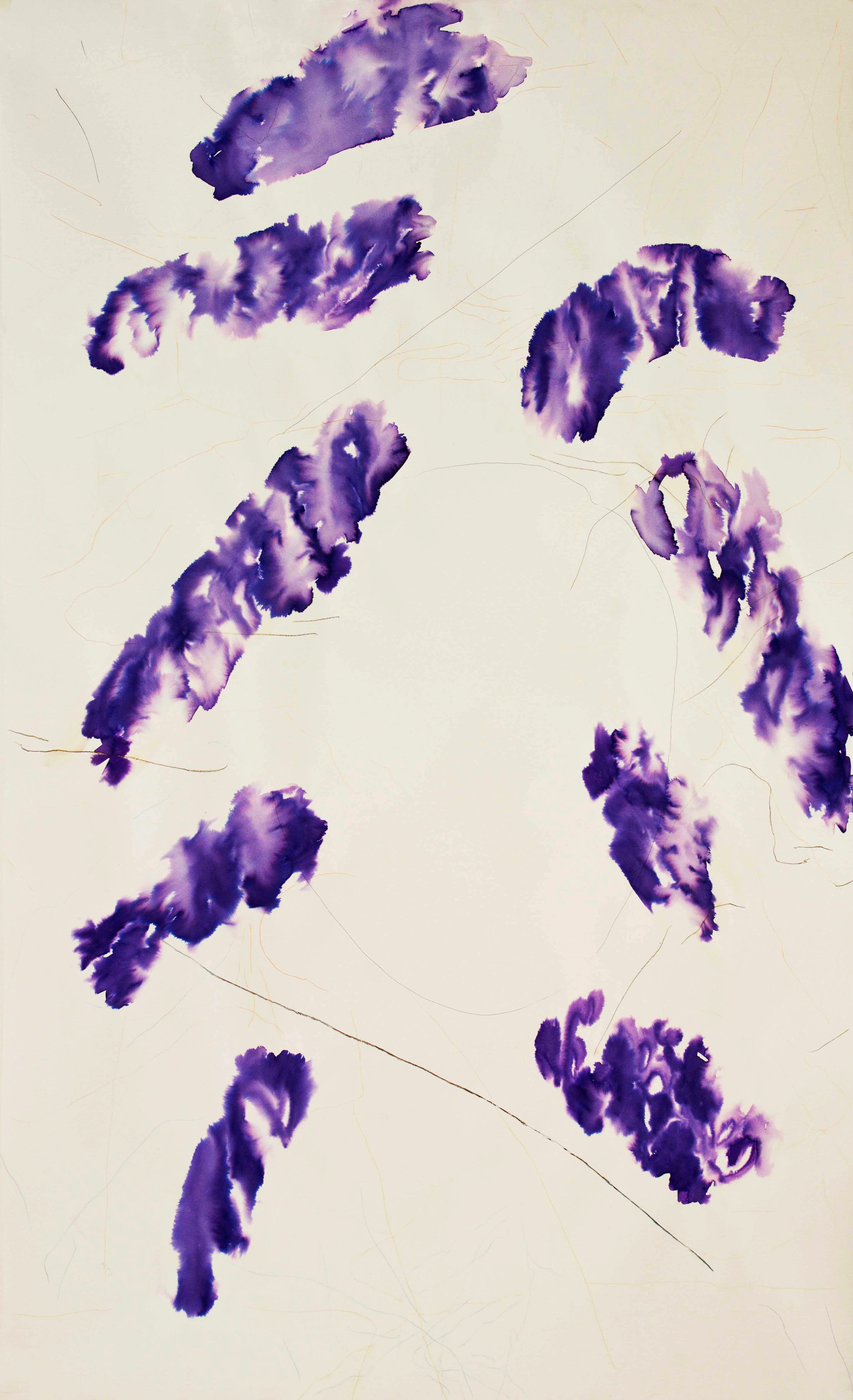 Alexis Brisa installation view