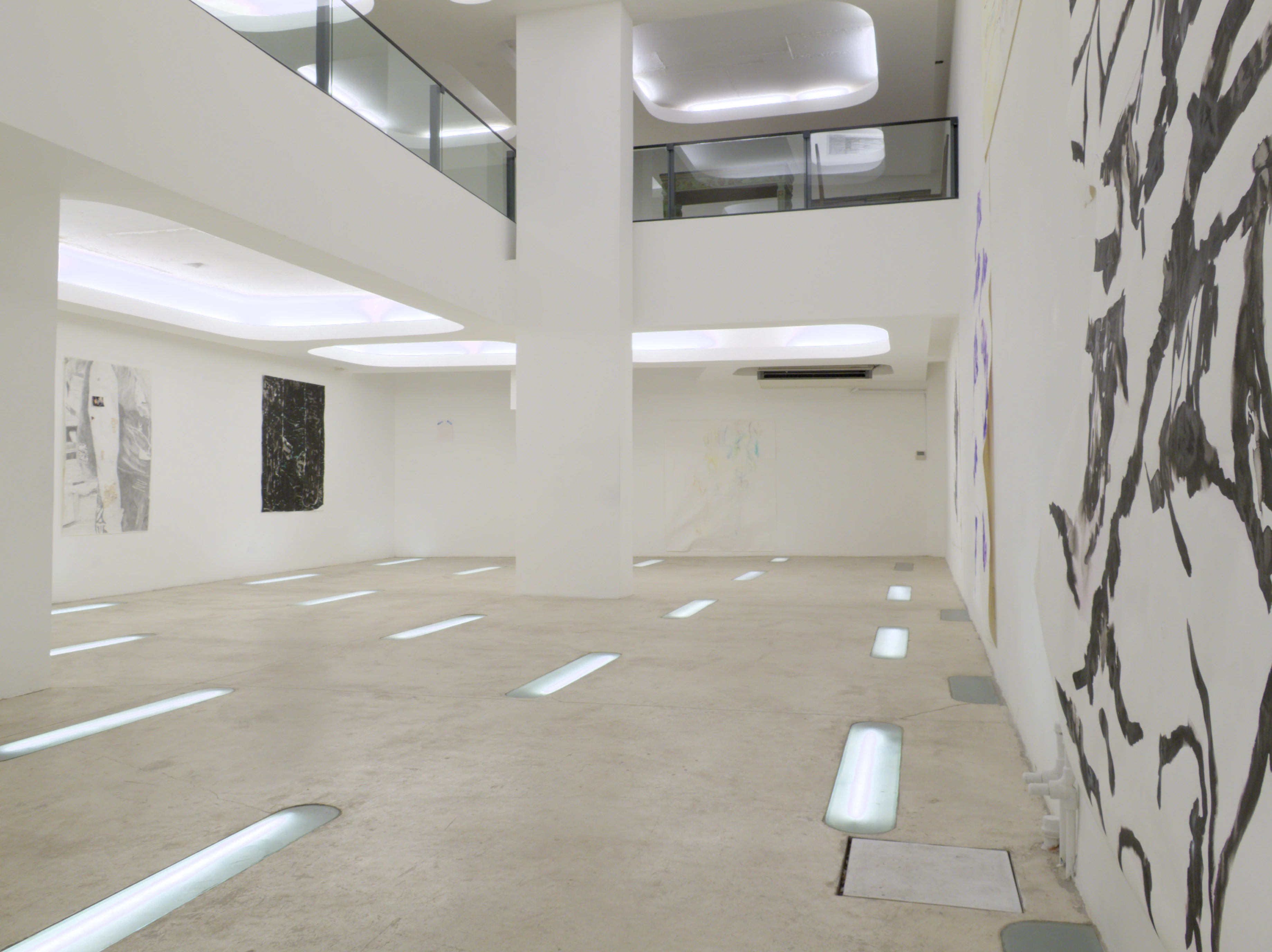 Alexis Brisa installation view