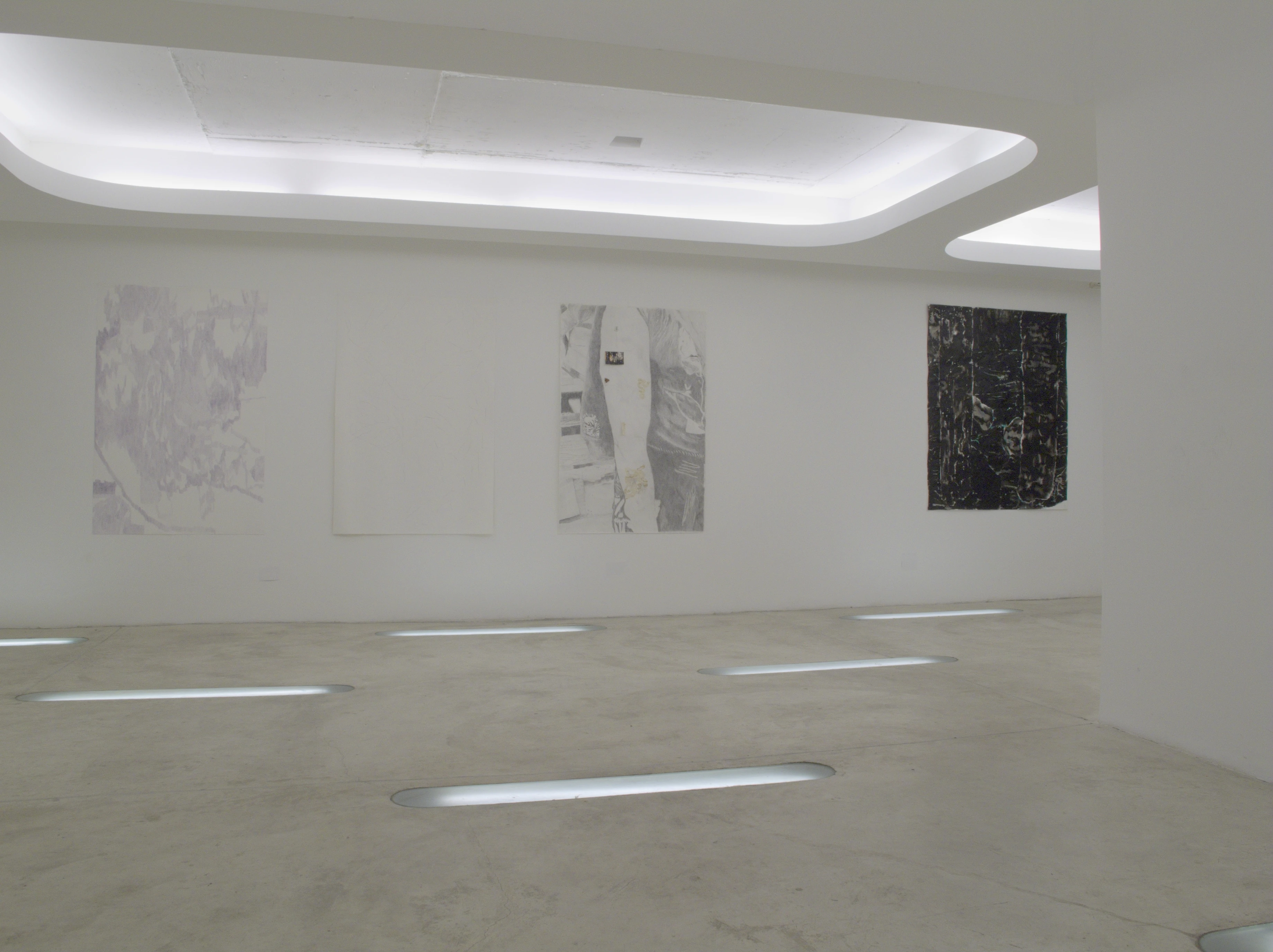 Alexis Brisa installation view