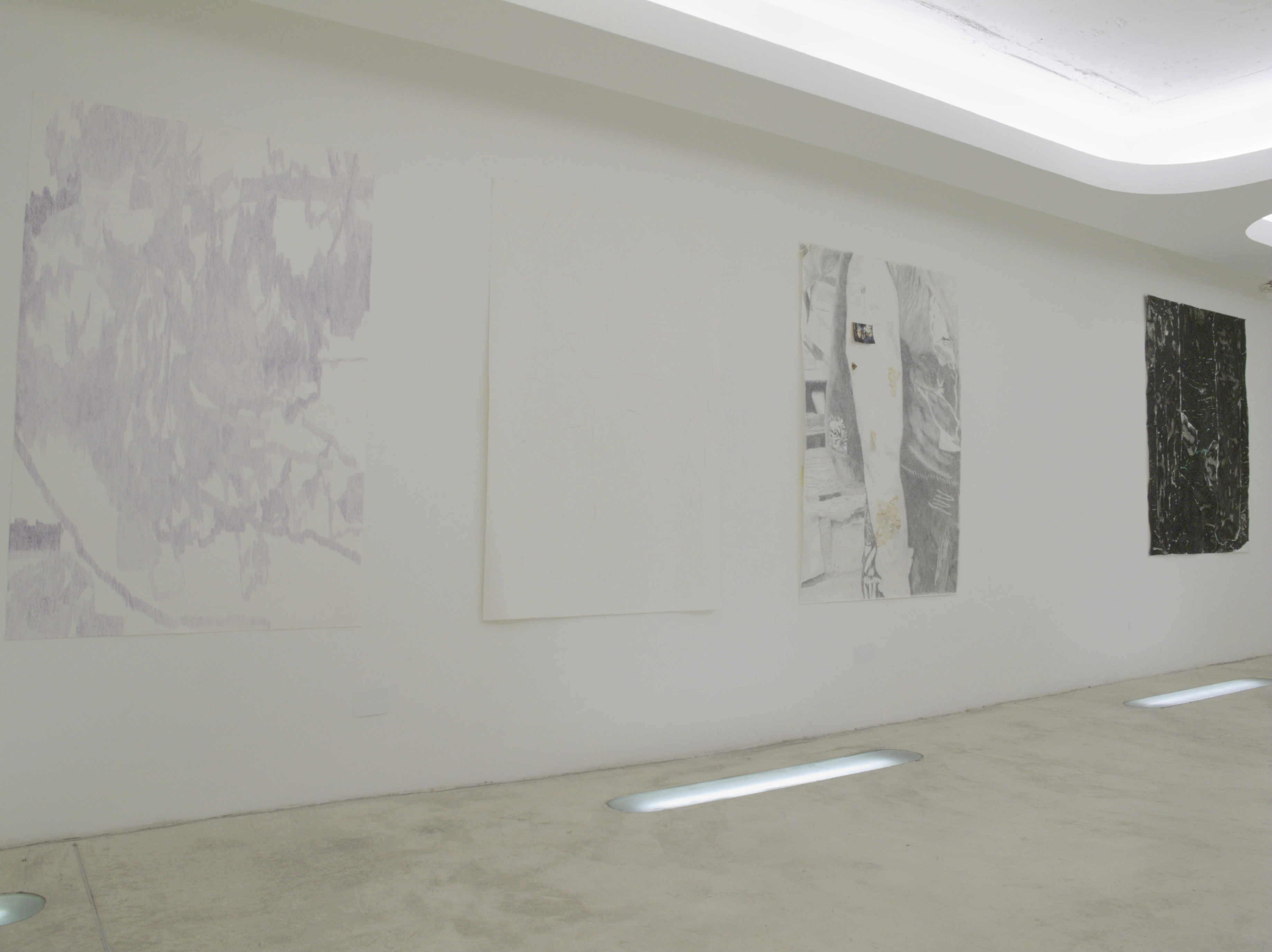 Alexis Brisa installation view