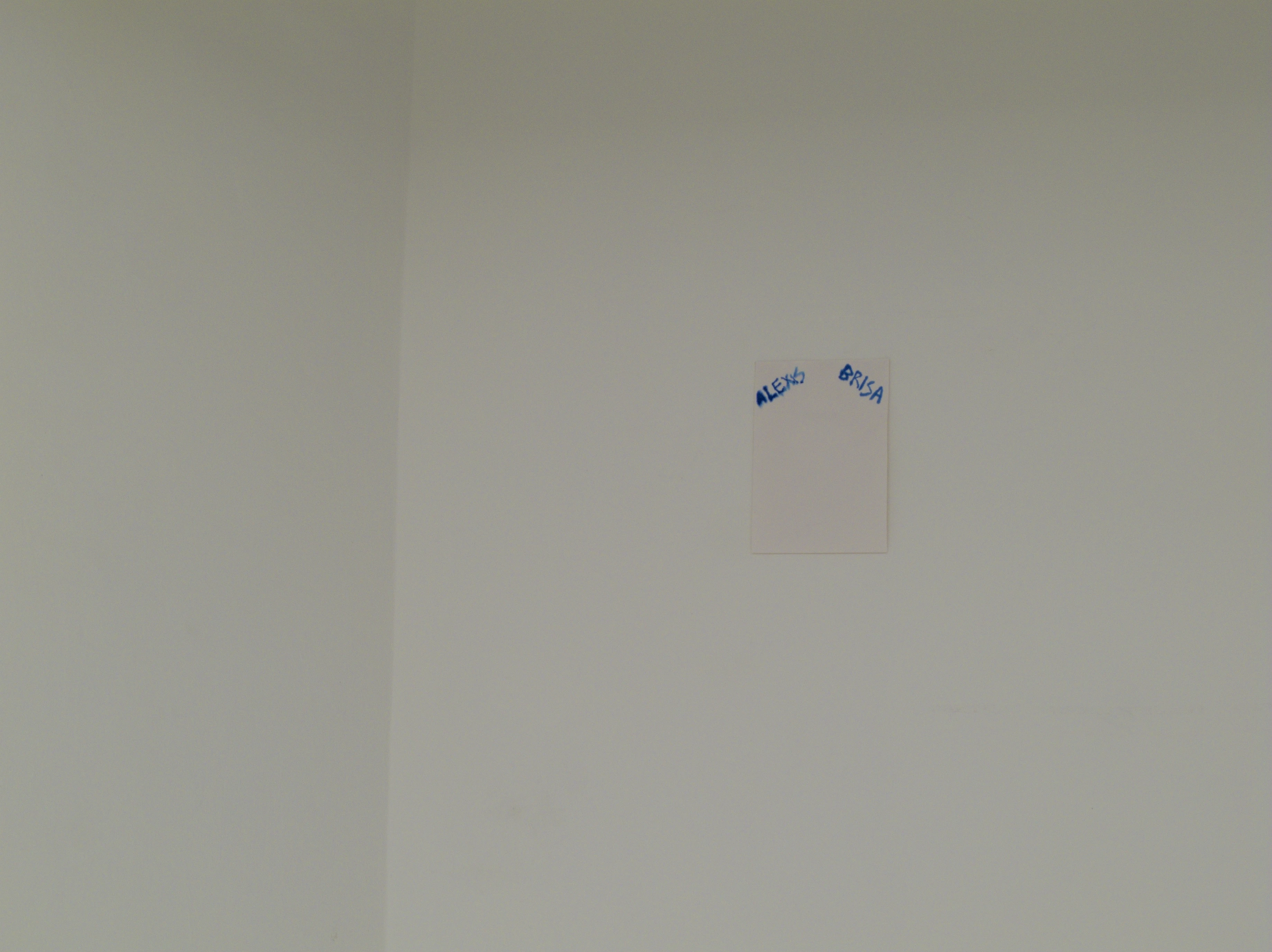 Alexis Brisa installation view