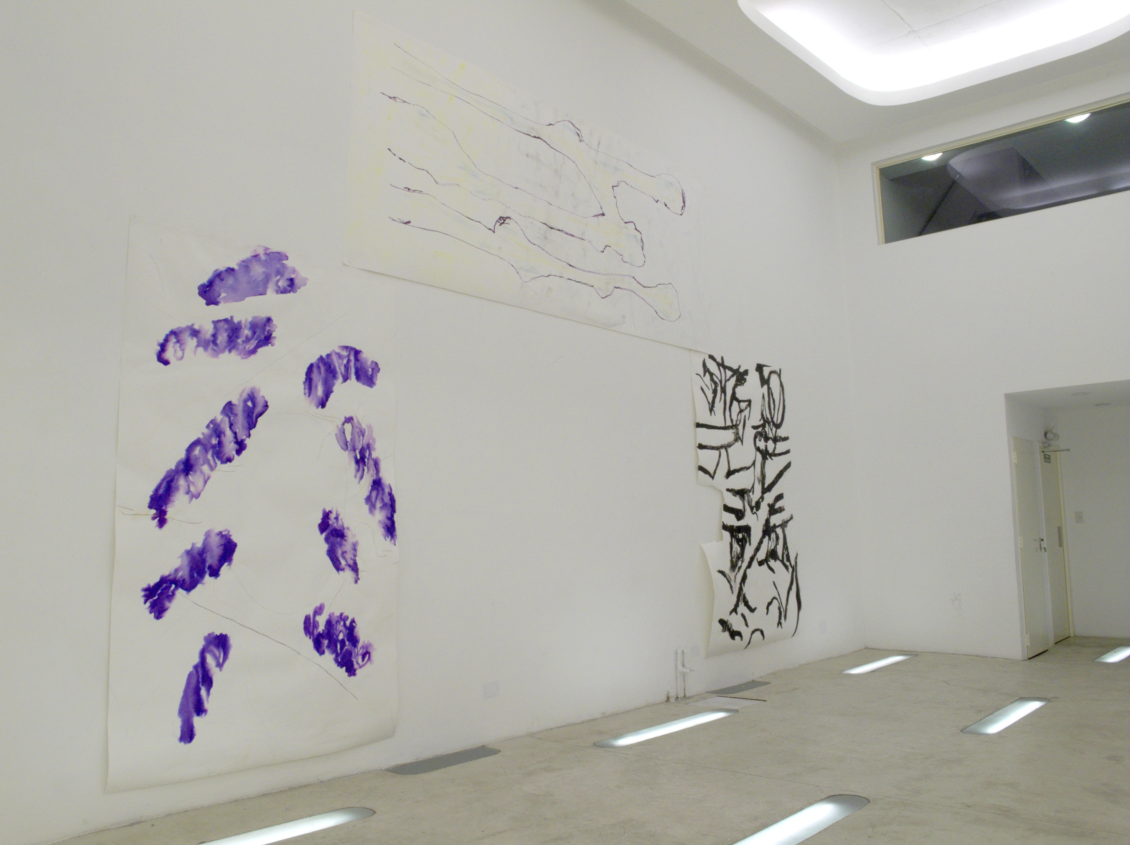 Alexis Brisa installation view