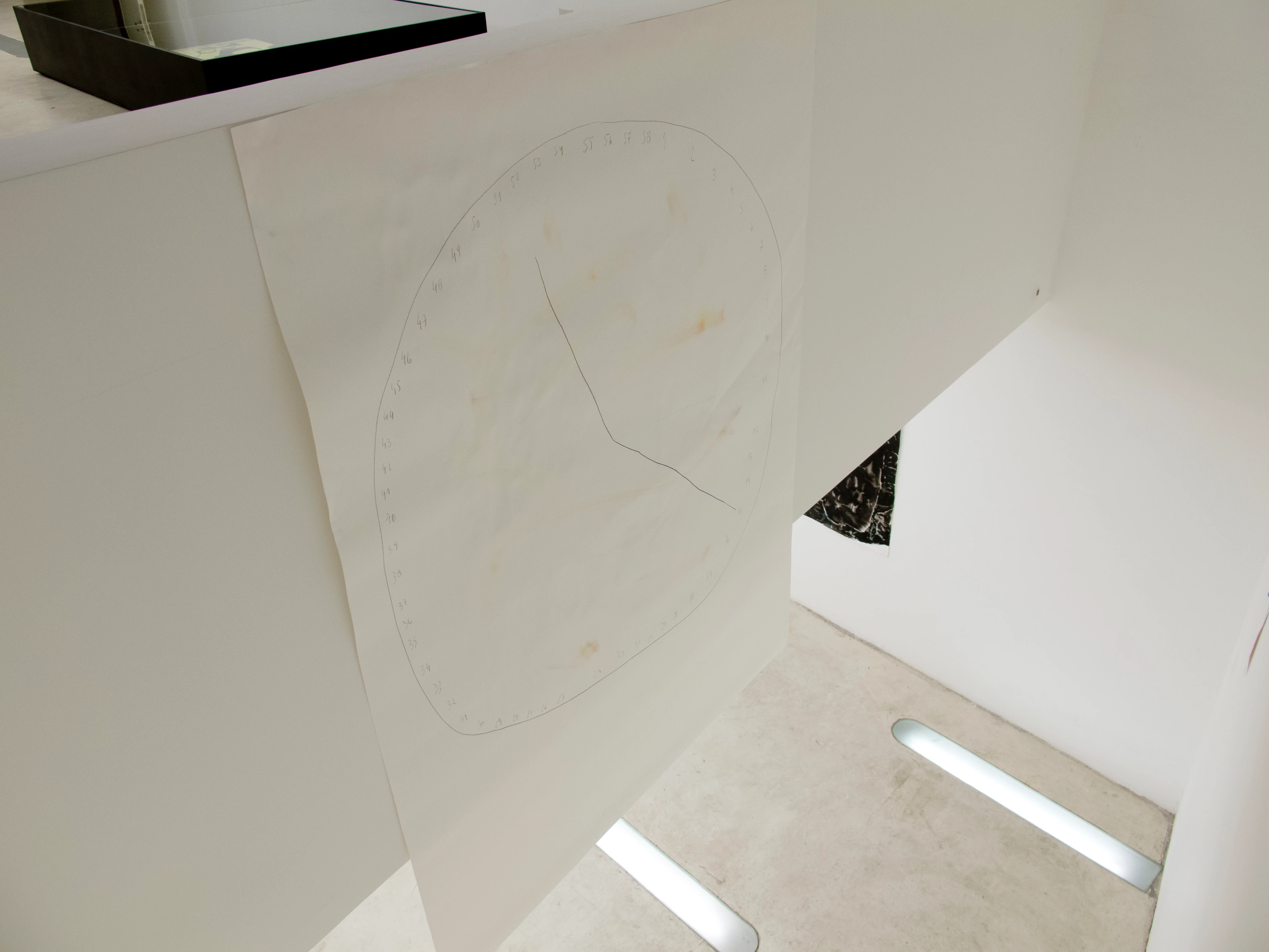 Alexis Brisa installation view