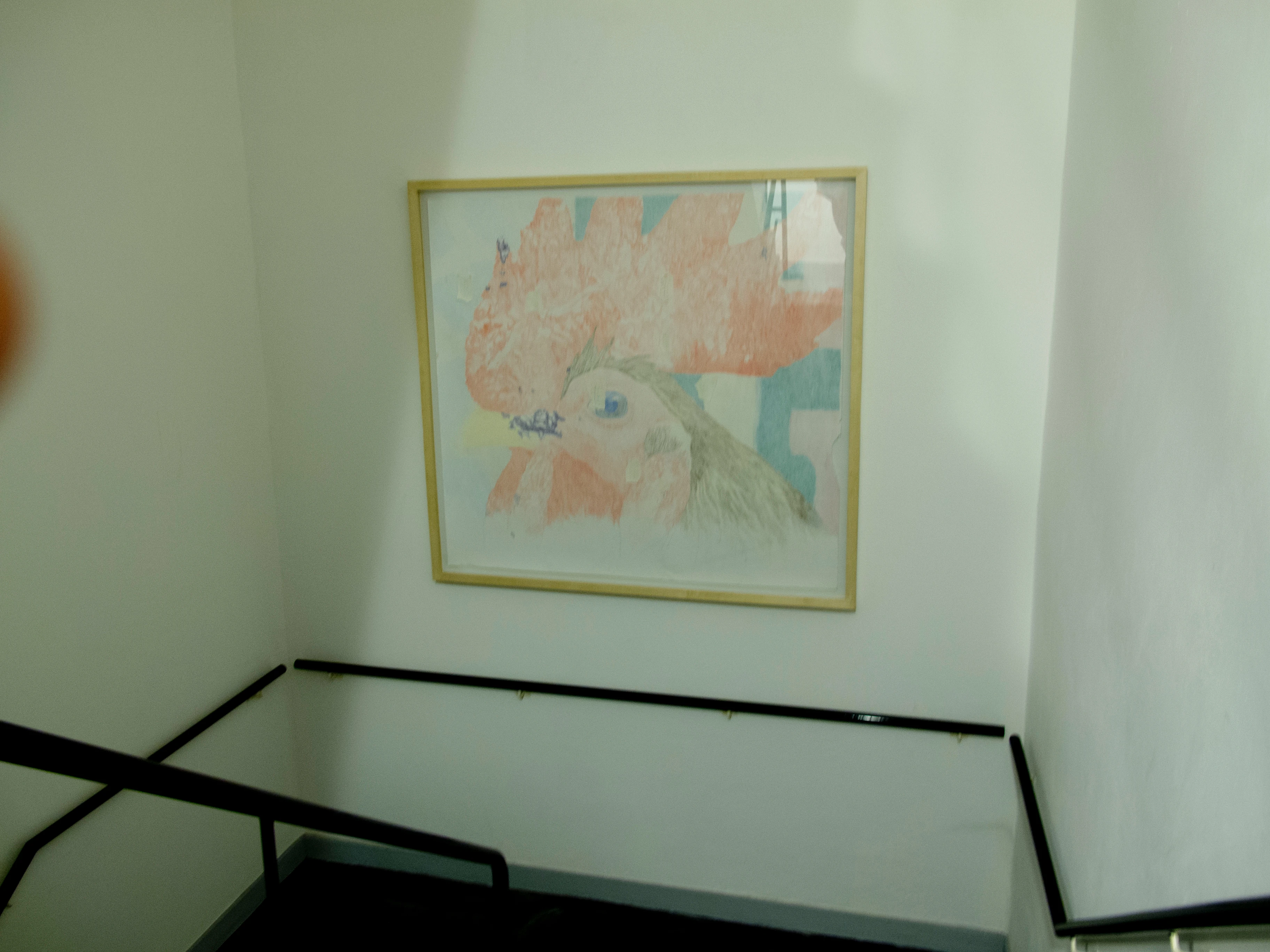 Alexis Brisa installation view