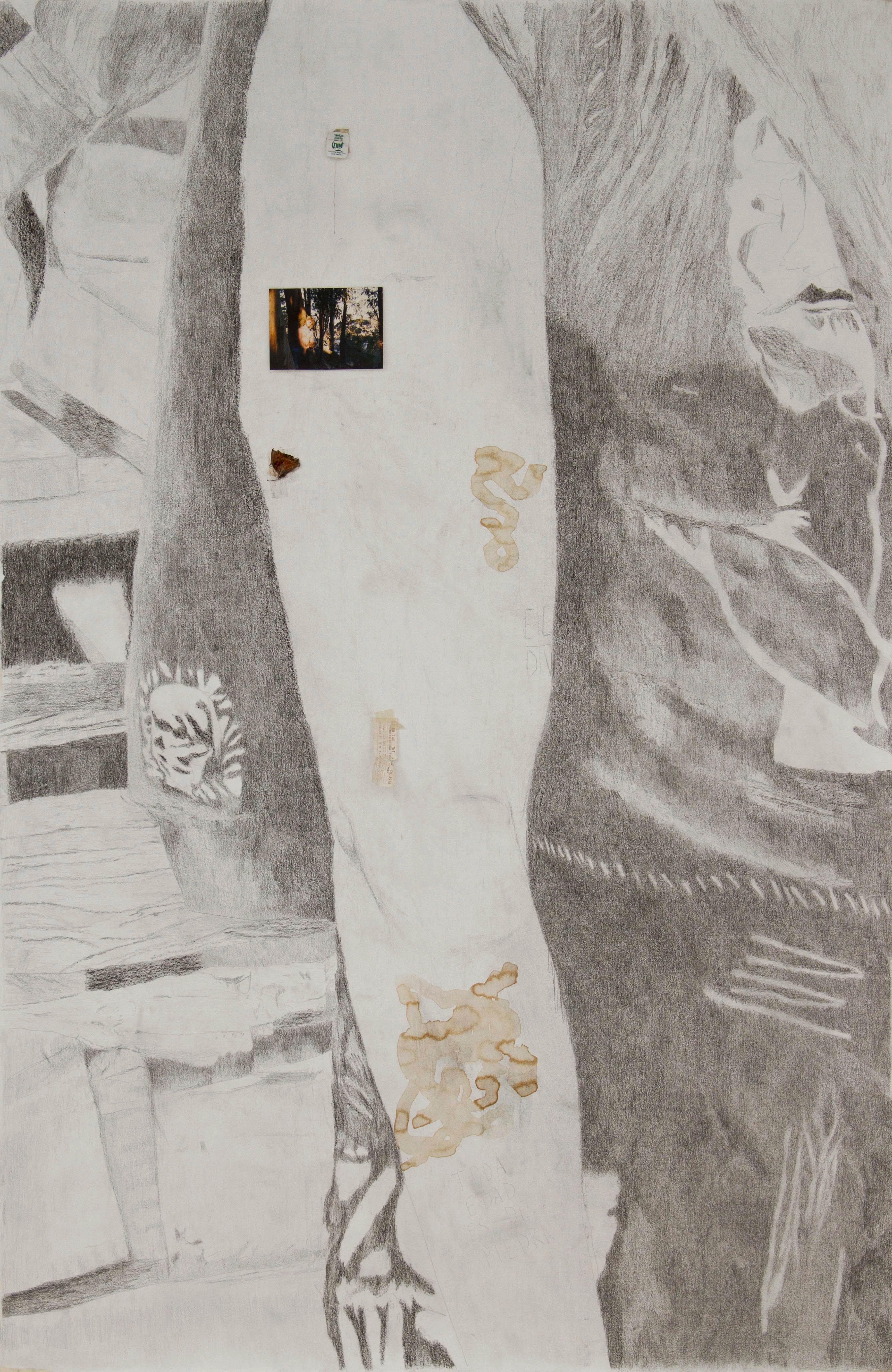Alexis Brisa installation view