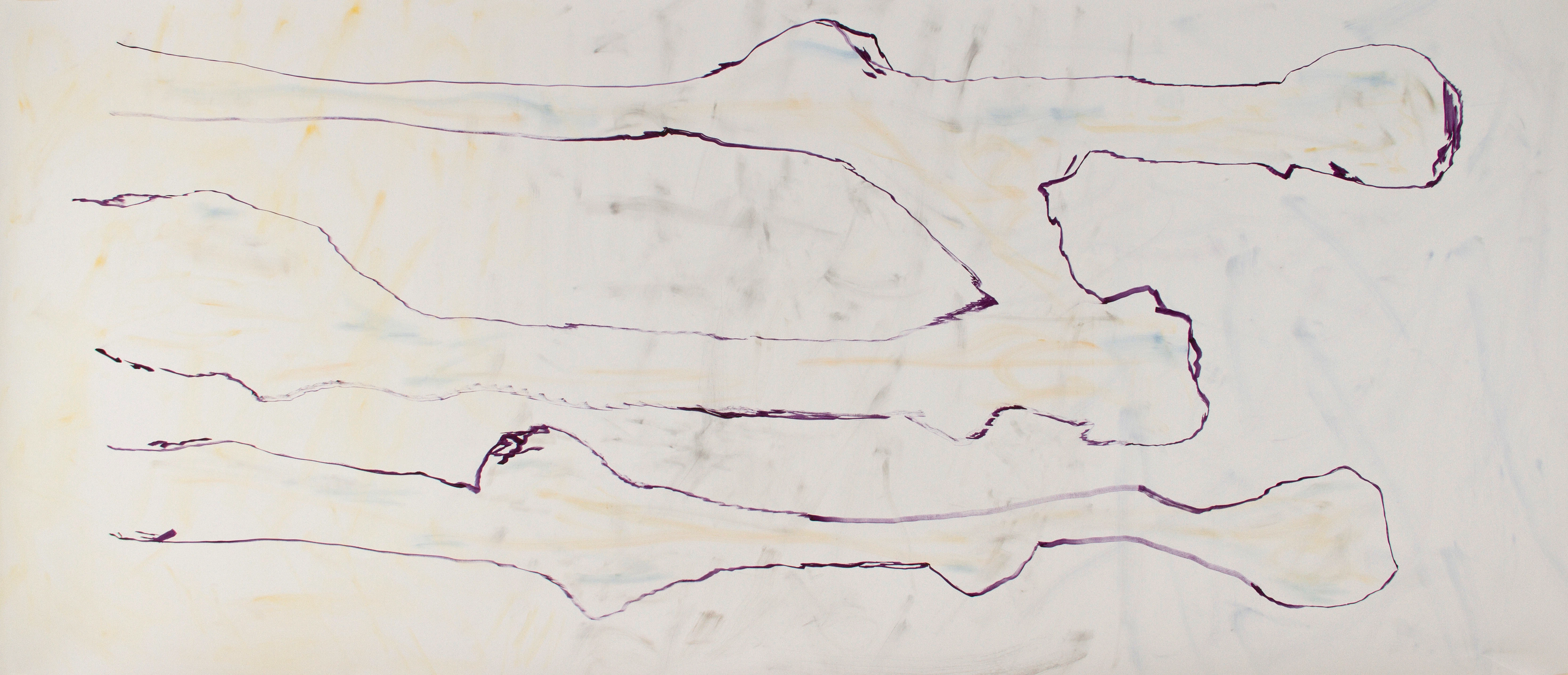 Alexis Brisa installation view