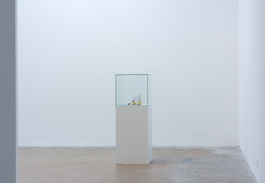 no importa mi nombre, exhibition view.