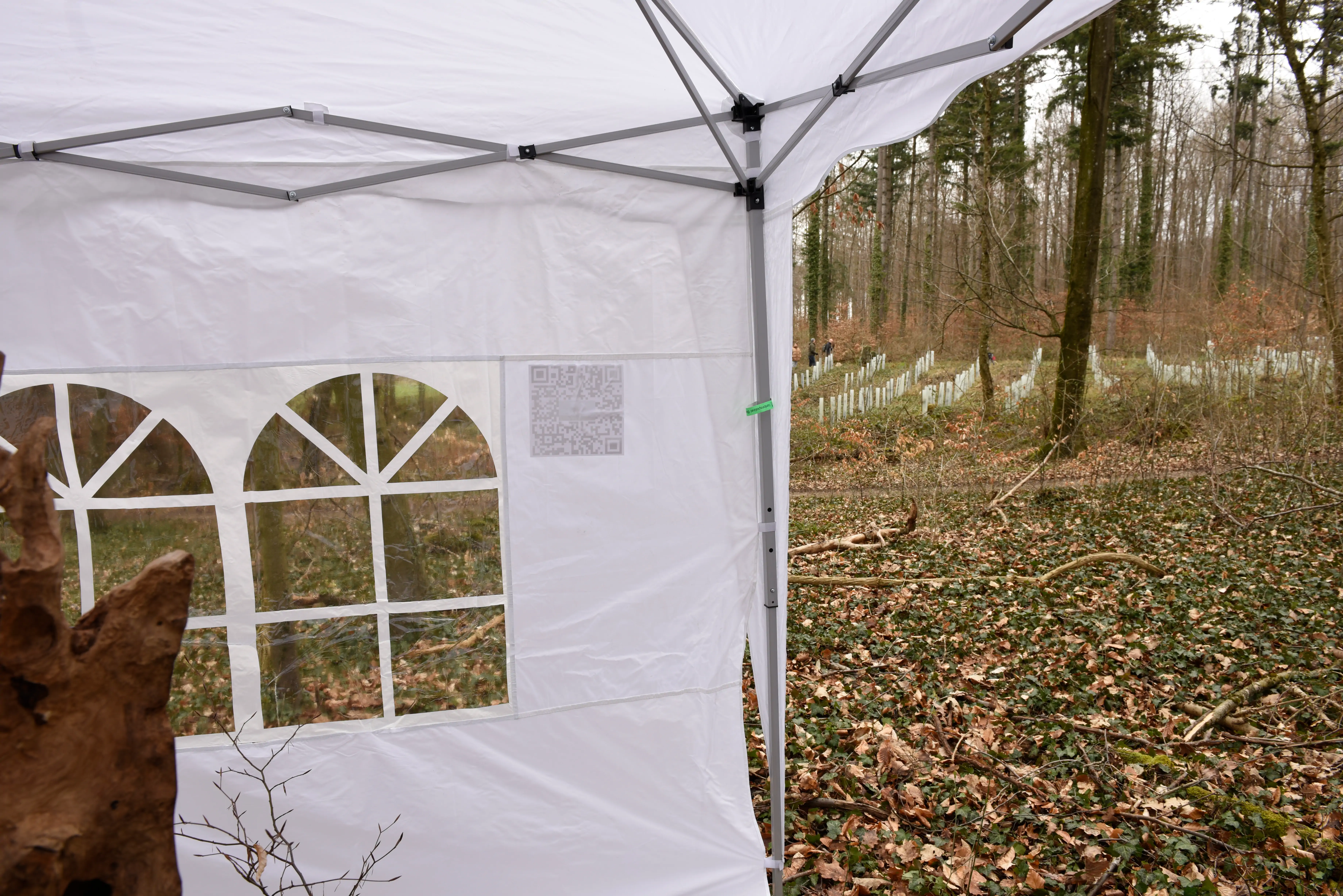 yellow Basel Kantonal Polizei bracelet on the column of the tent, in the back, trees growing surrounding by plastic tubes that are protecting them
