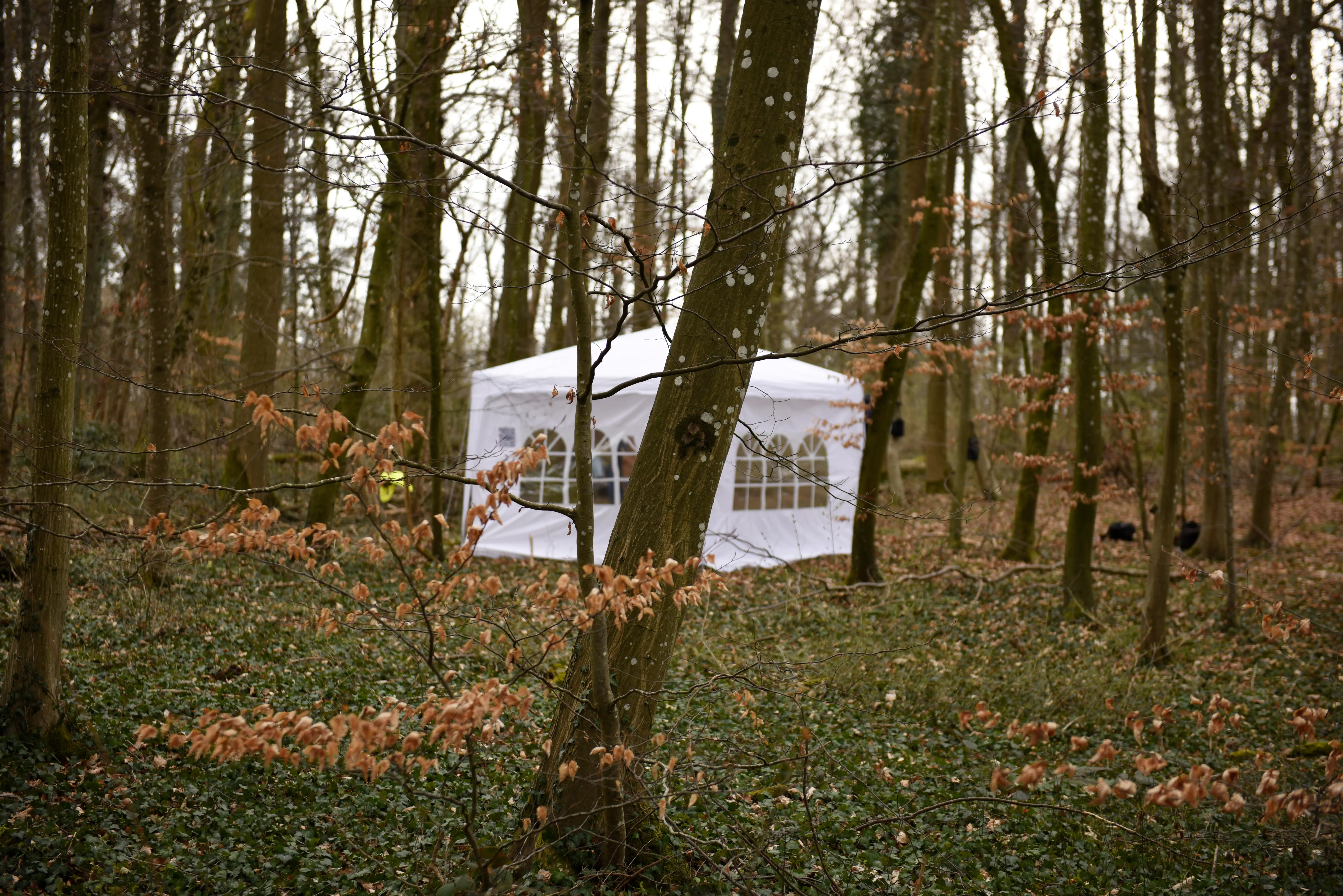 Windows side view of the tent