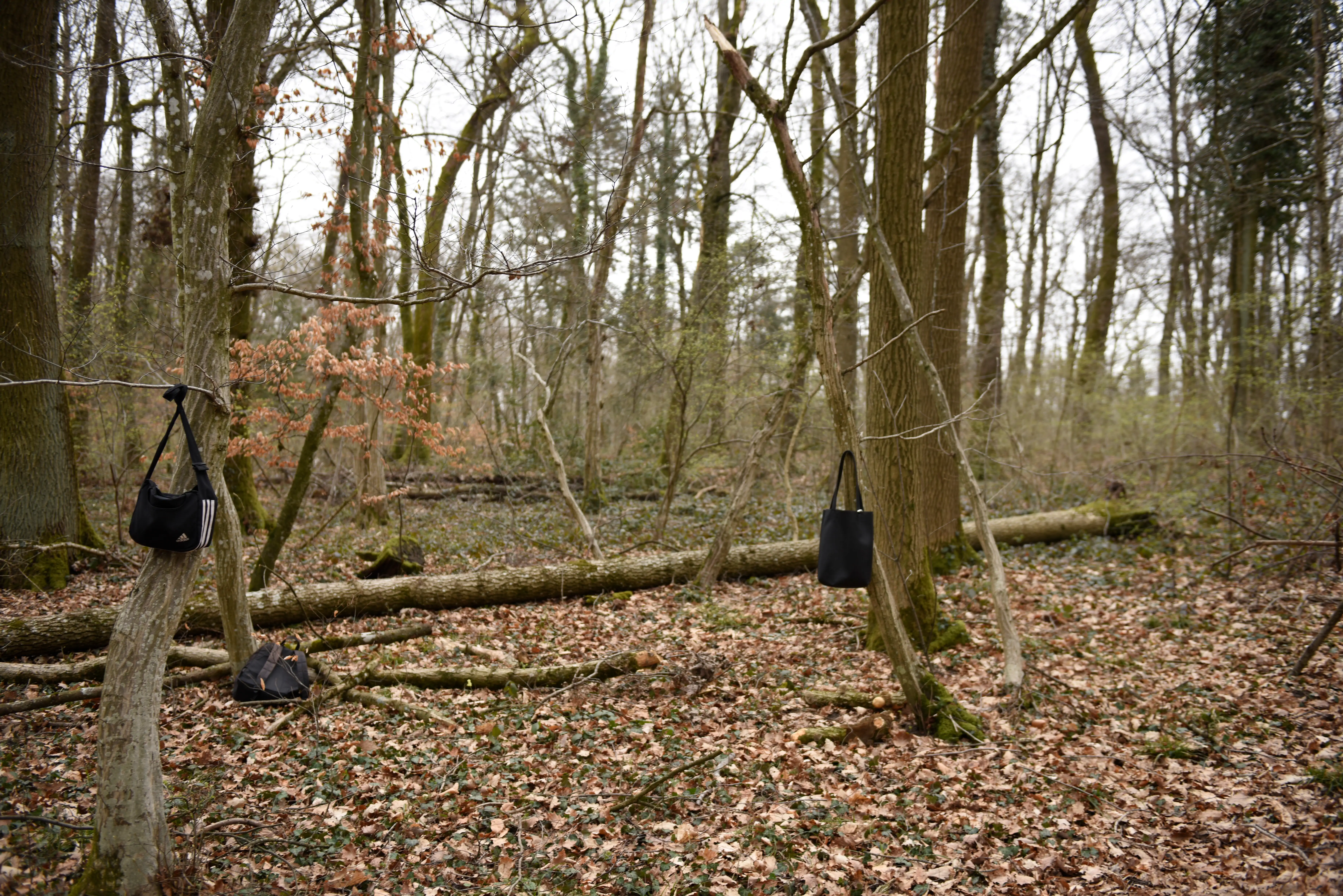 Hanging bags